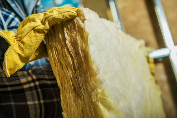 Best Cellulose Insulation in University Park, MD