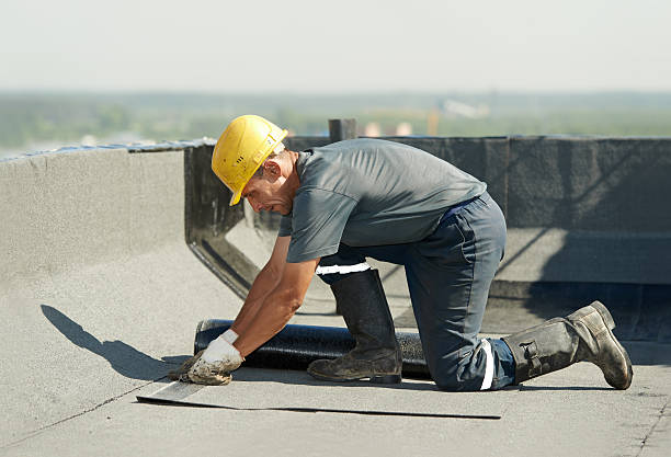 Best Eco-Friendly Insulation in University Park, MD