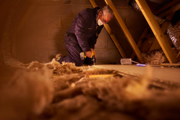 Best Cellulose Insulation in University Park, MD