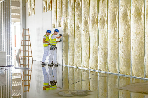 Types of Insulation We Offer in University Park, MD